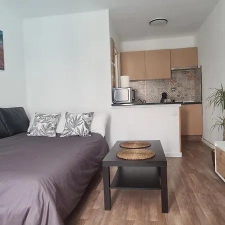 Apartamento Estudio Delfines 4 *