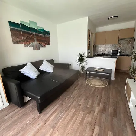 Apartment Estudio Delfines 4